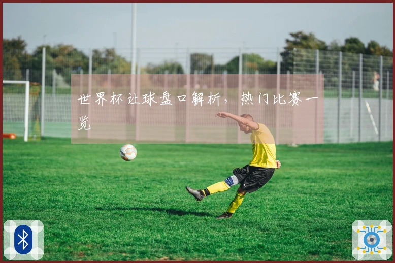 世界杯让球盘口解析，热门比赛一览