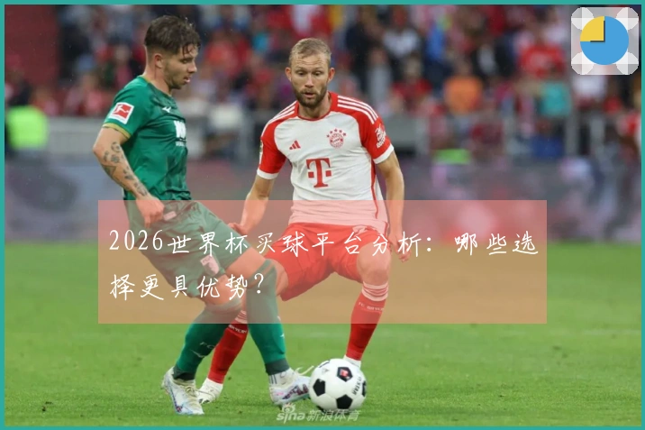 2026世界杯买球平台分析：哪些选择更具优势？