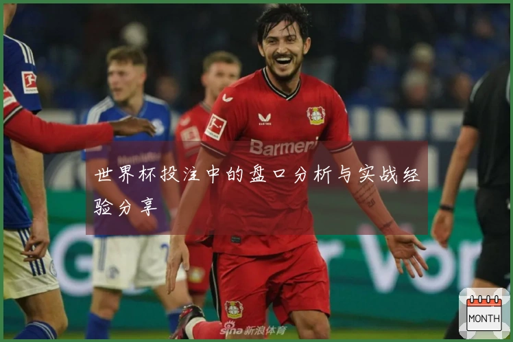 世界杯投注中的盘口分析与实战经验分享