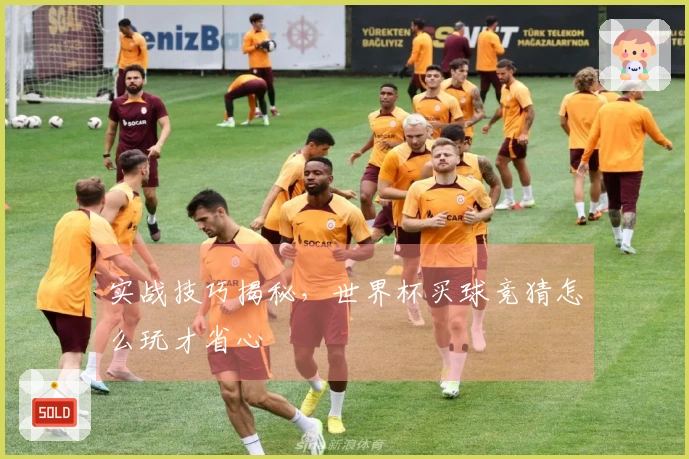 实战技巧揭秘，世界杯买球竞猜怎么玩才省心