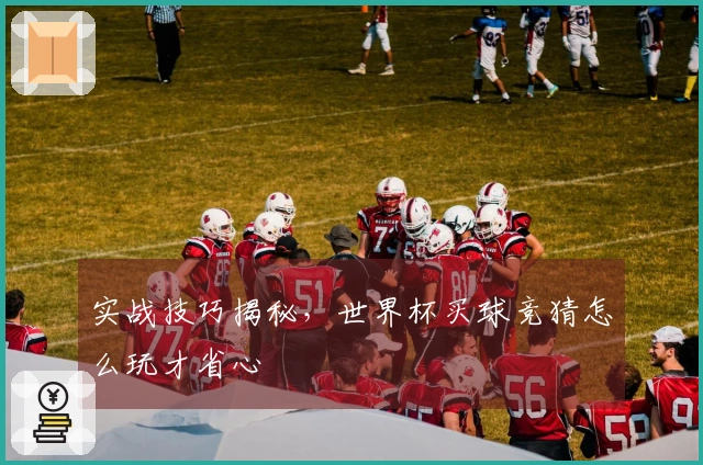 实战技巧揭秘，世界杯买球竞猜怎么玩才省心