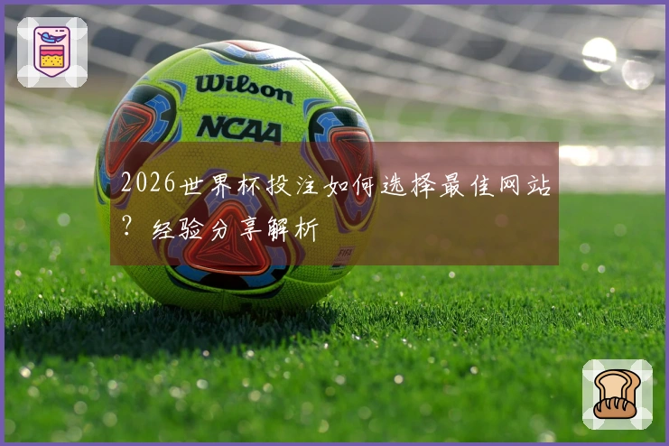 2026世界杯投注如何选择最佳网站？经验分享解析