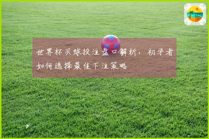 世界杯买球投注盘口解析，初学者如何选择最佳下注策略
